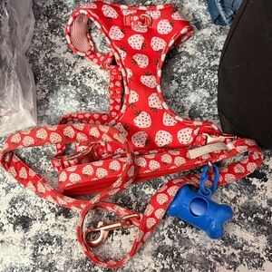 Top Paw Dog Harness and leash with padded Pink Lining